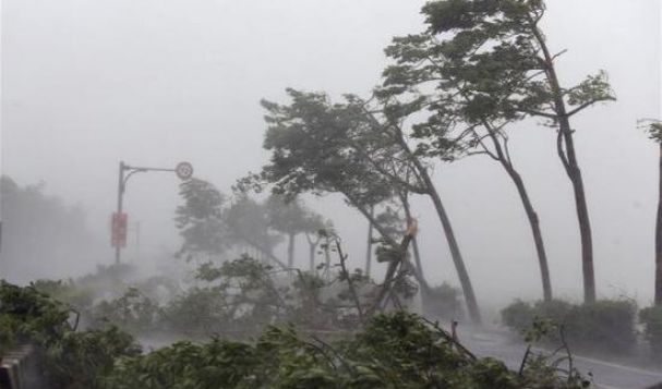 台风过境，保税货物受灾了怎么办？