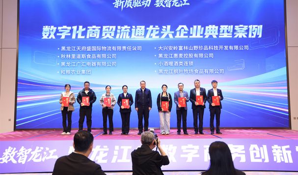 新质驱动，数智龙江 | 天府盛国际物流荣获黑龙江省数字化商贸流通龙头企业殊荣！